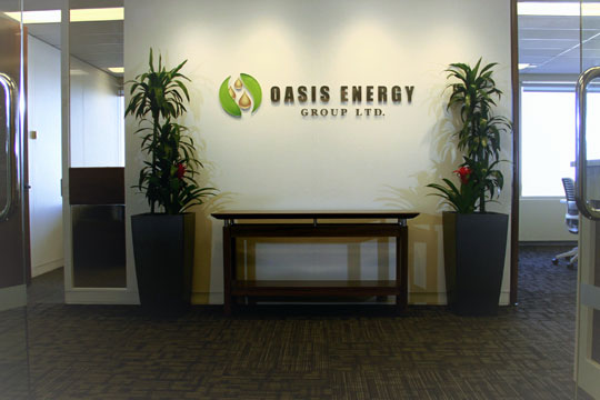 Oasis Energy